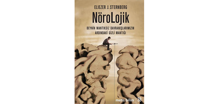 Beynin mantığını anlamak